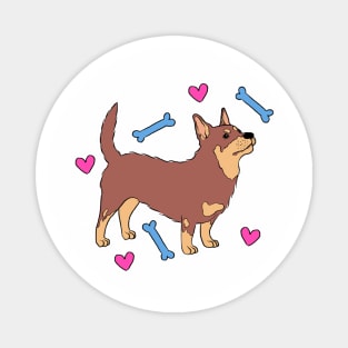 Lancashire Heeler Magnet